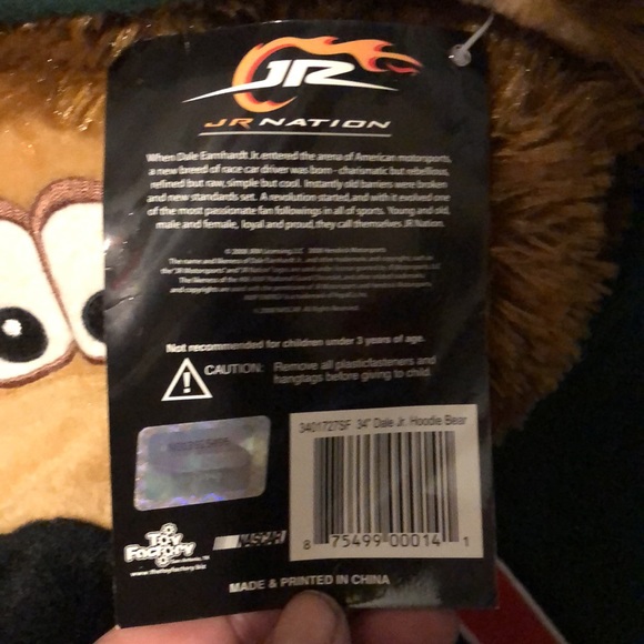 Dale Jr #88 stuffed bear - NASCAR - Picture 4 of 8